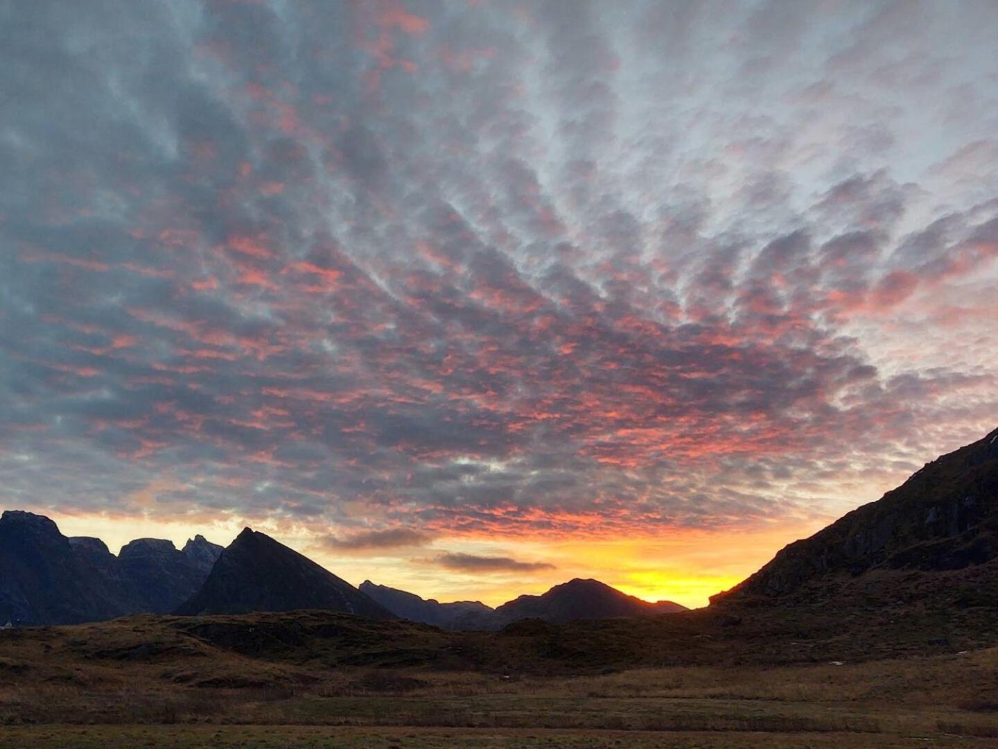 Fredvang Farm House - Lofoten Dış mekan fotoğraf