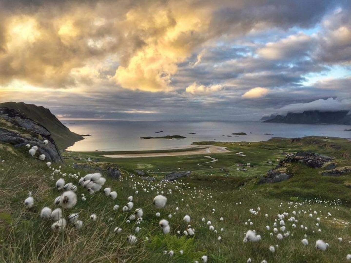 Fredvang Farm House - Lofoten Dış mekan fotoğraf