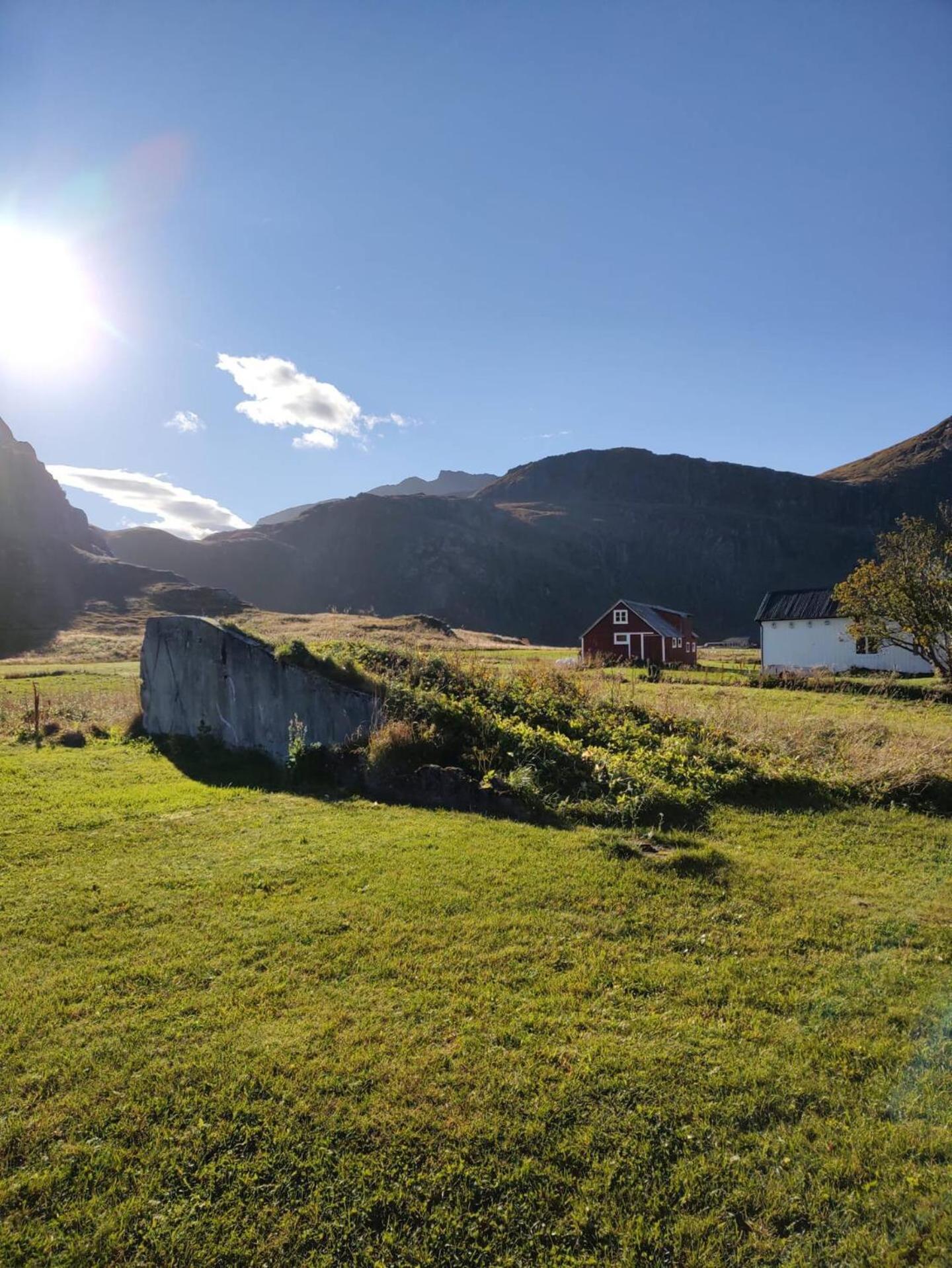 Fredvang Farm House - Lofoten Dış mekan fotoğraf